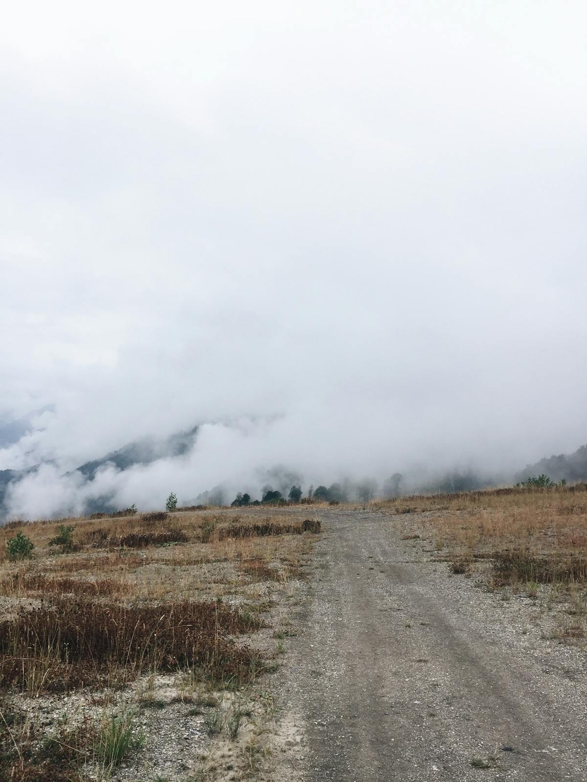 Boundary Survey - City Surveyors Adelaide